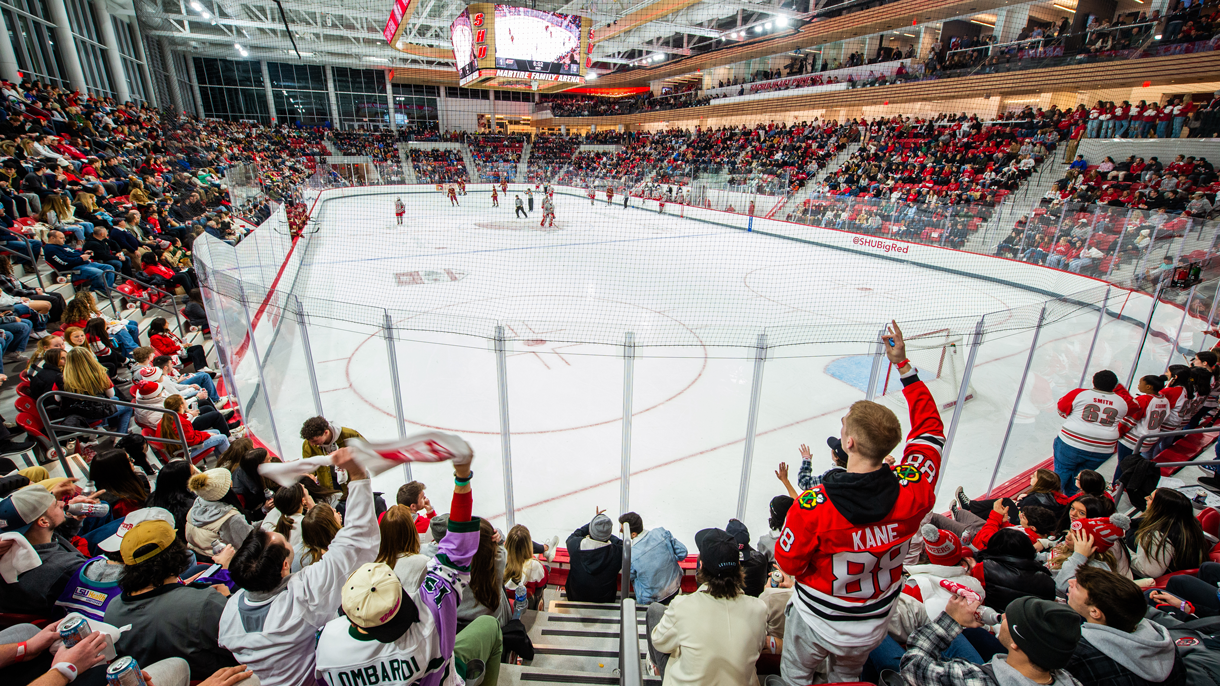 Packed hockey arena