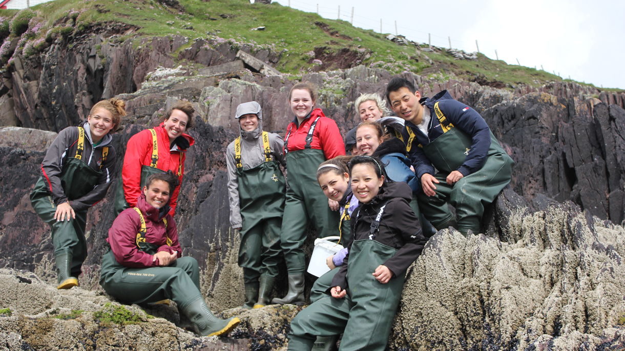Biology students on a rocky cliff in Dingle, Ireland