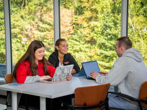 Students working together on laptops