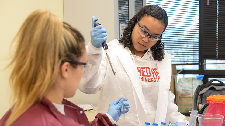 students working in a lab