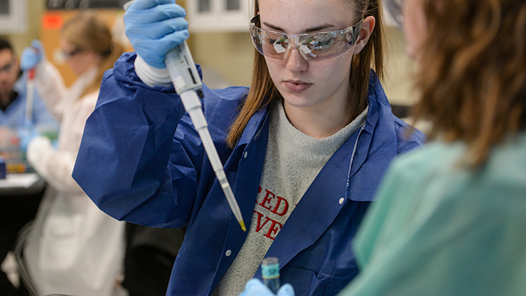 students working in the lab