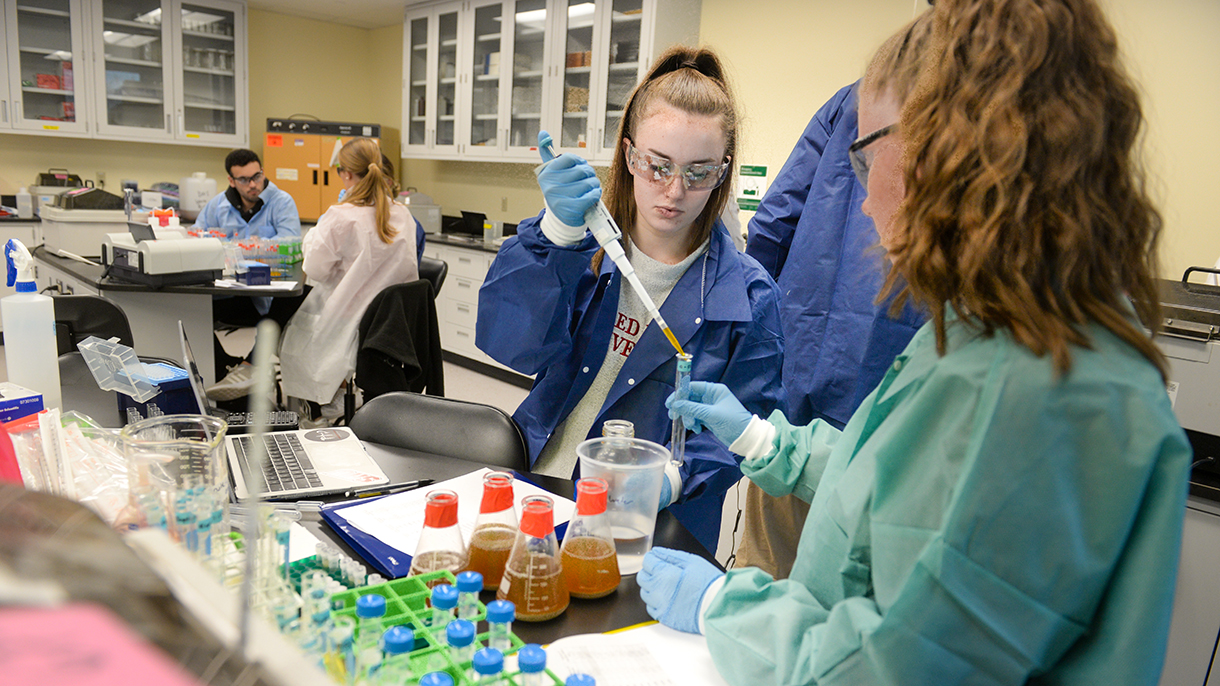 students working in a lab