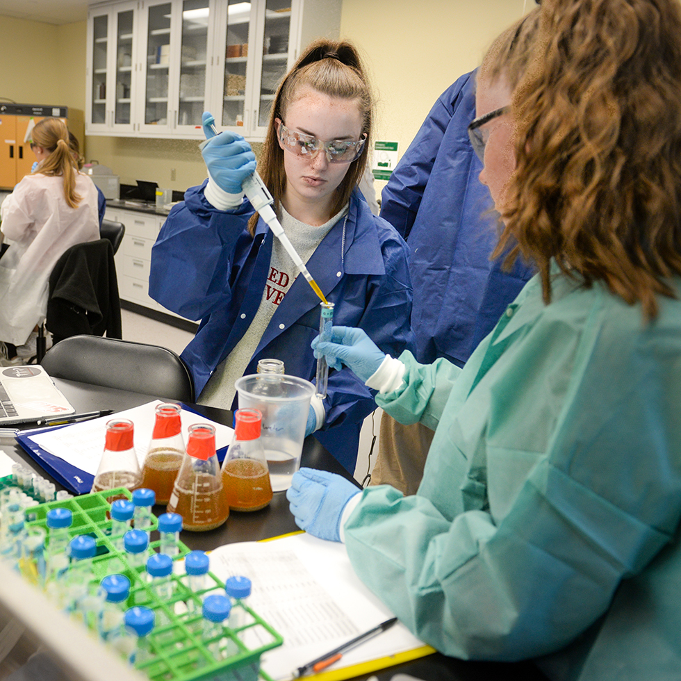 students working in a lab