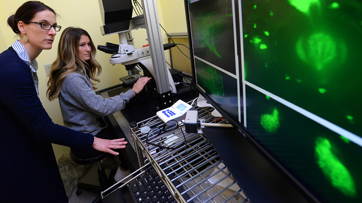 students working on an experiment