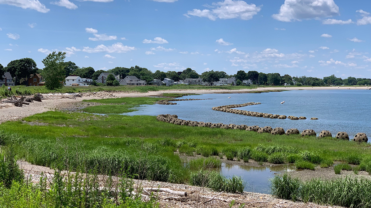 Living Shorelines in Connecticut