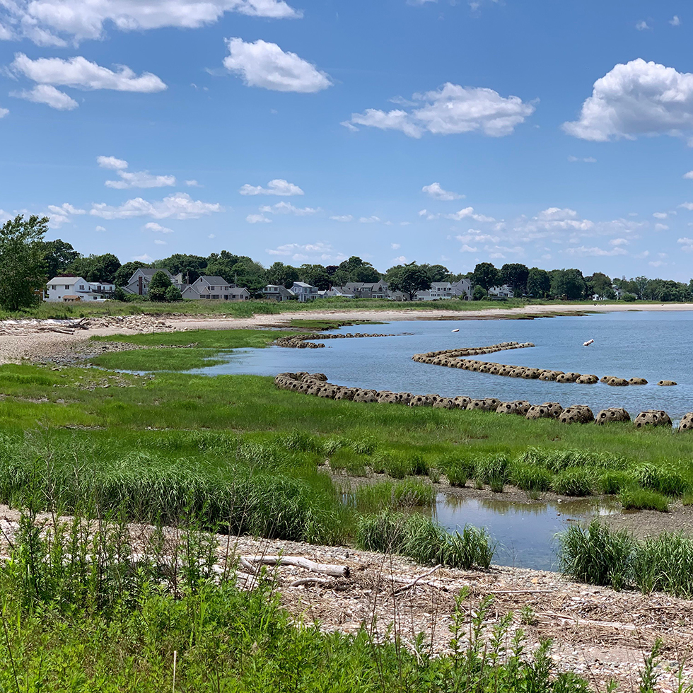 Living Shorelines in Connecticut
