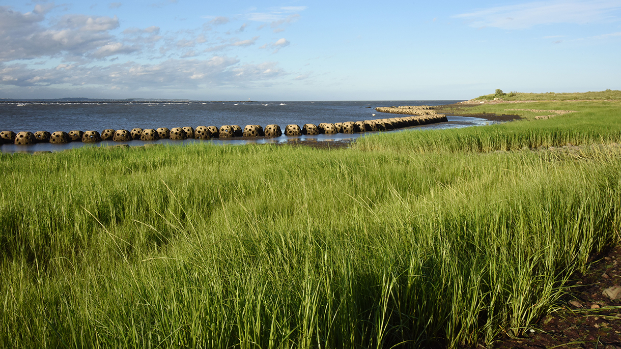 Living Shorelines in Connecticut