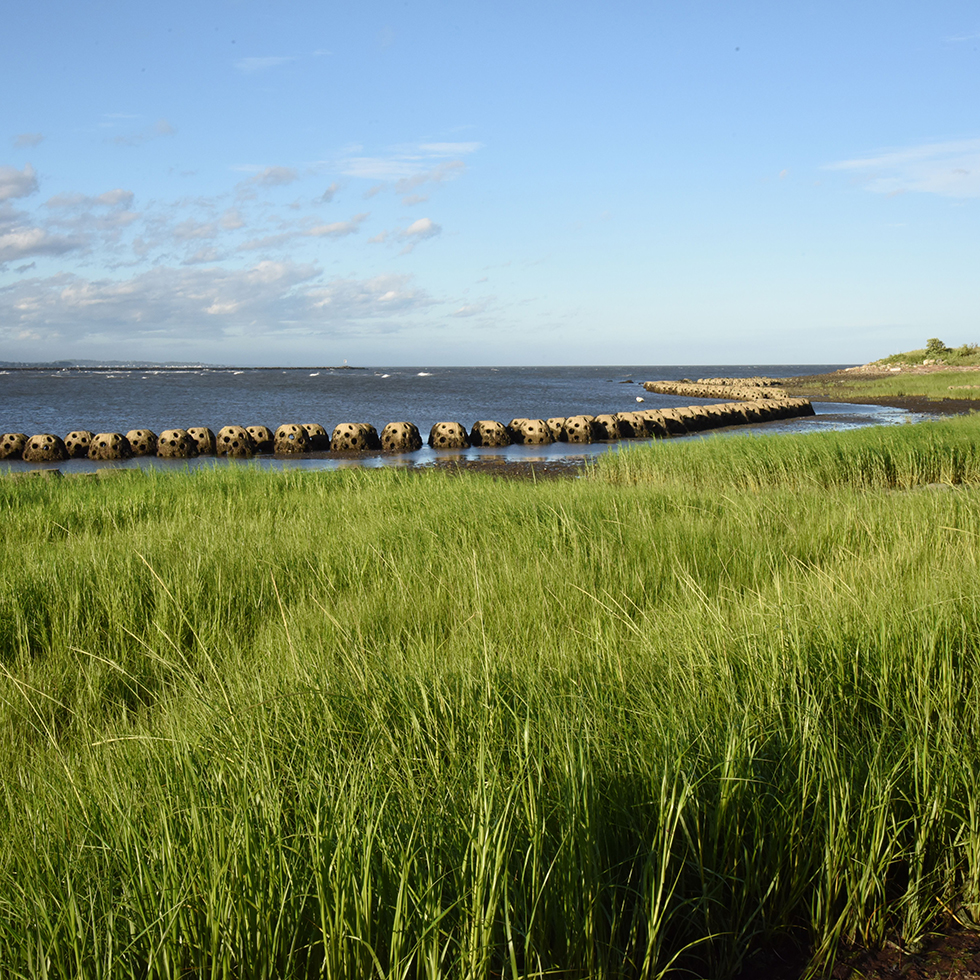 Living Shorelines in Connecticut