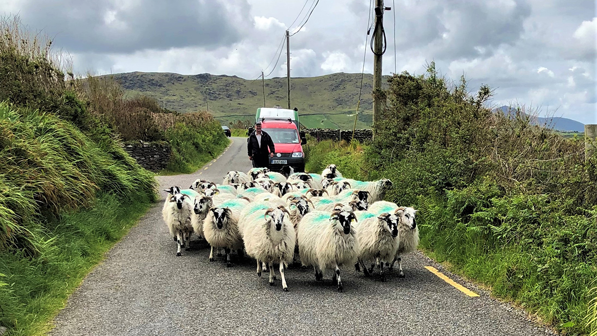 Dingle, Ireland