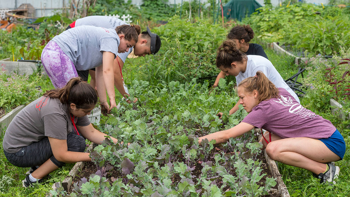 Student volunteers weeding garden beds at Green Village Initiative