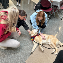 Students petting a dog