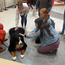 Students petting a dog