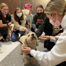 Students petting a therapy dog
