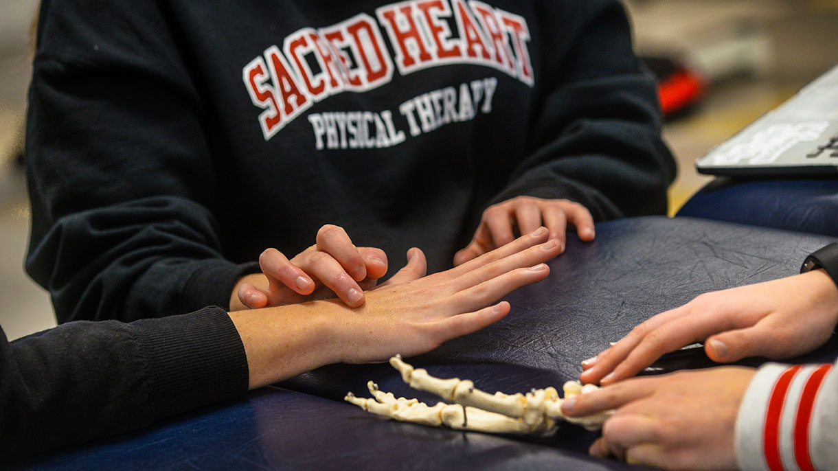 Sacred Heart University's Department of Physical Therapy