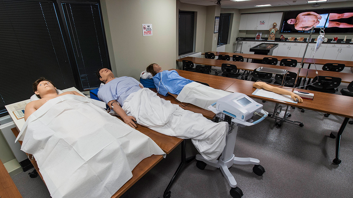 Physician Assistant Studies at Sacred Heart