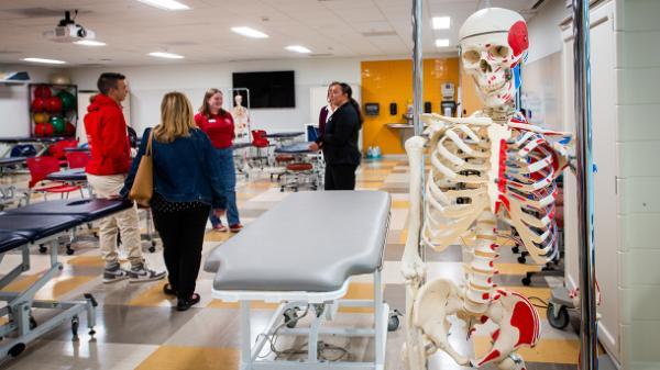 Skeleton in lab