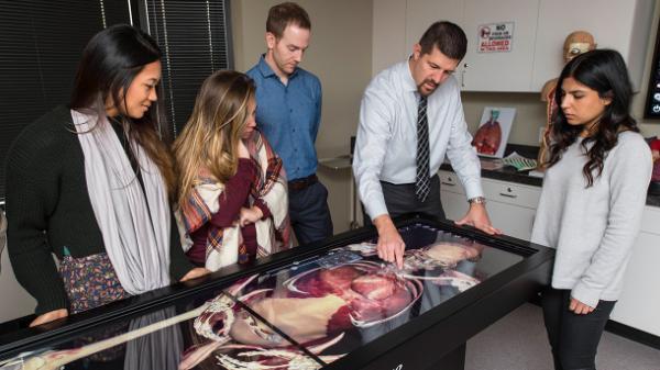 professor showing students a skeletal image on an anatomage table