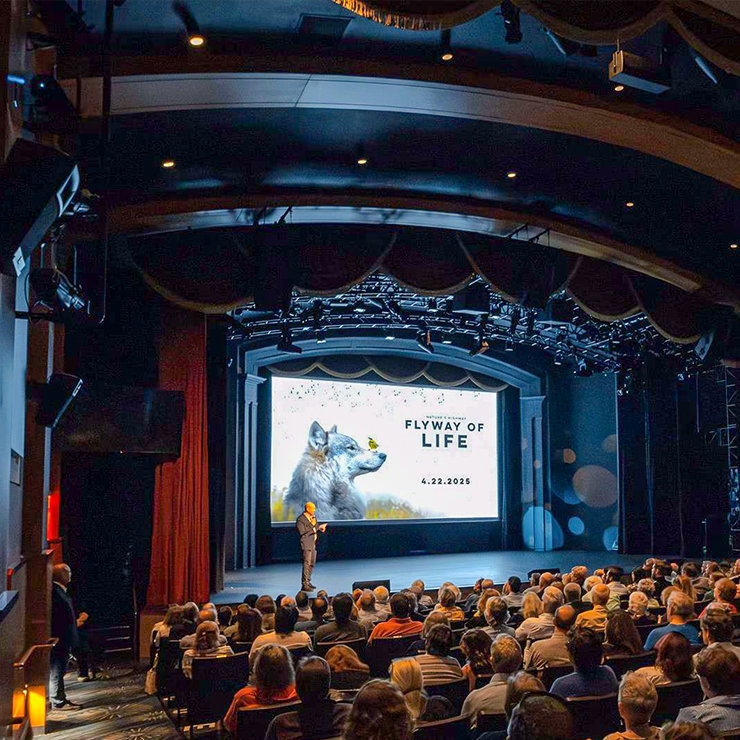 Theatre crowd watching Flyway of Life on screen