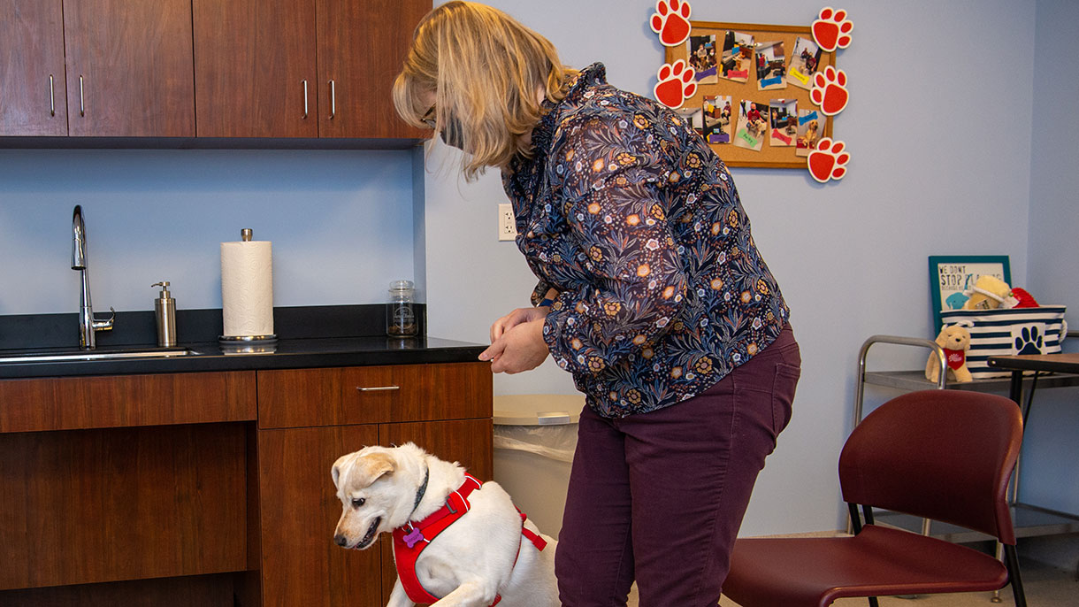 Canine Cognition Lab