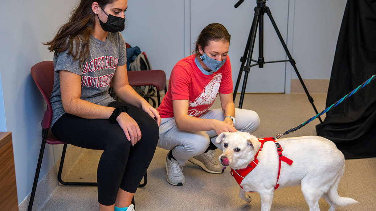 Canine Cognition Lab