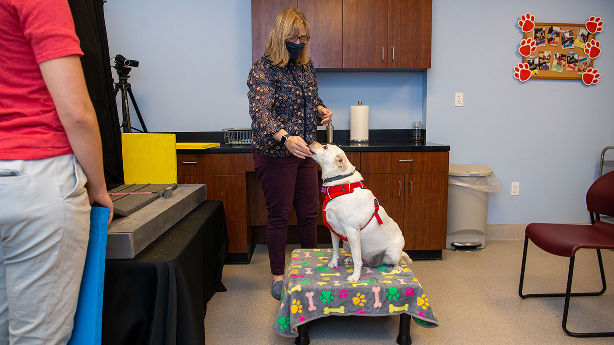 Canine Cognition Lab