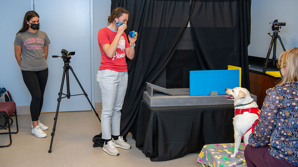 Canine Cognition Lab