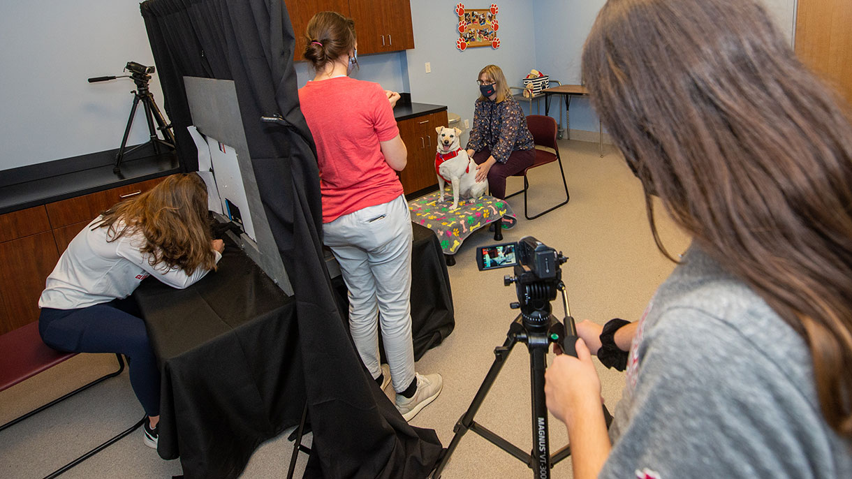 Canine Cognition Lab