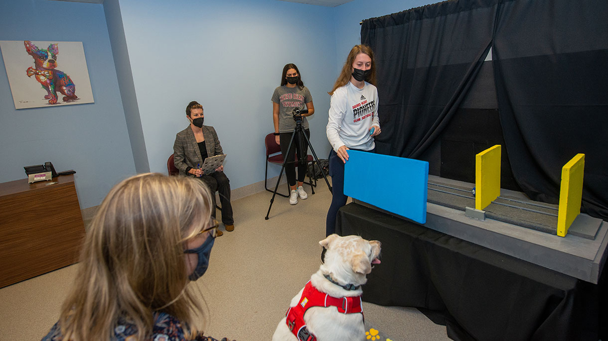 Canine Cognition Lab