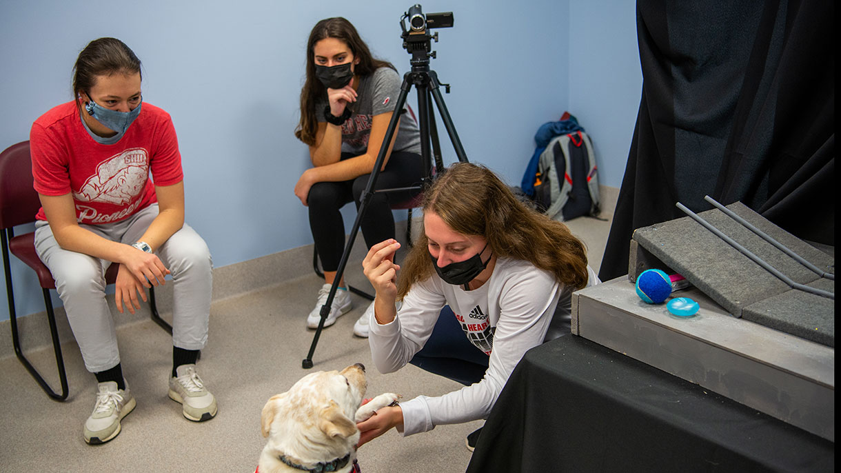 Canine Cognition Lab