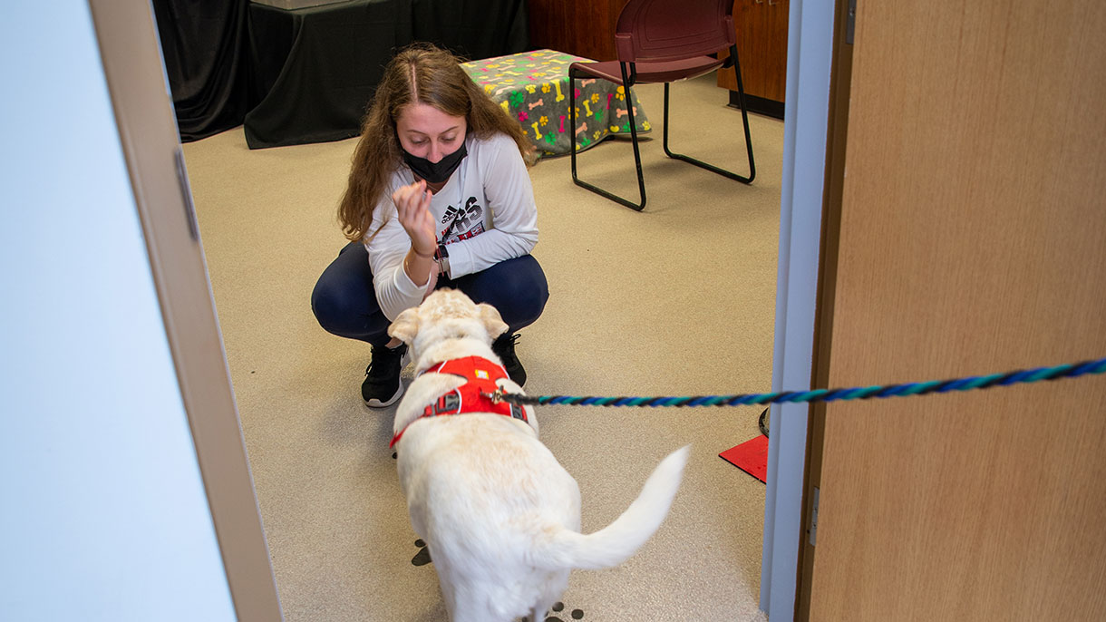 Canine Cognition Lab