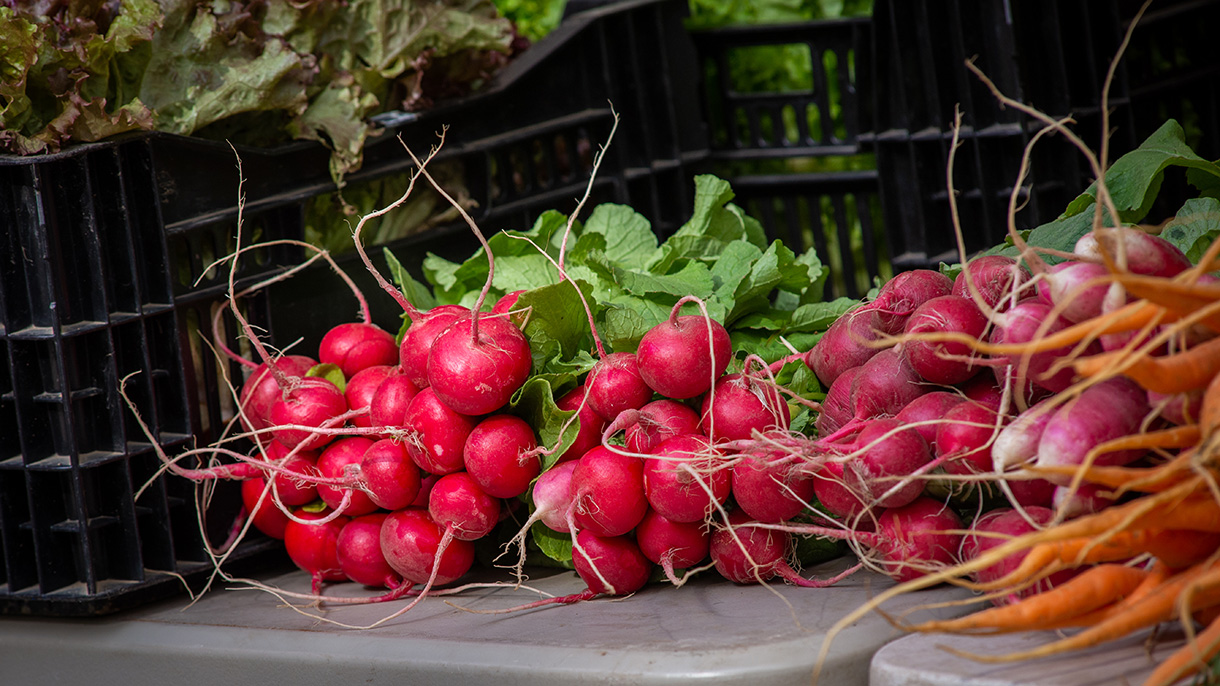 Bridgeport Farmers Market