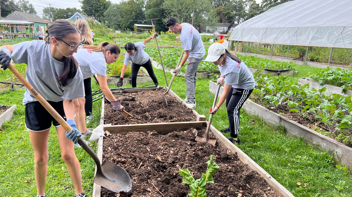 Students gardening