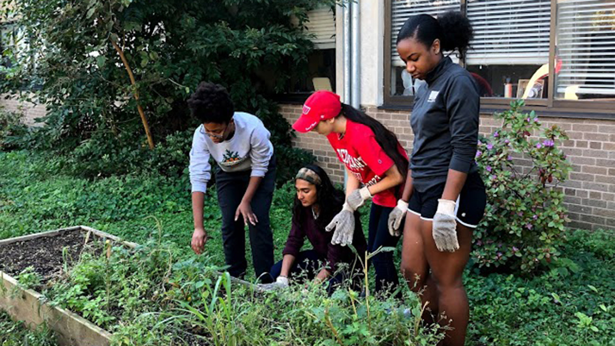 SHU students gardening