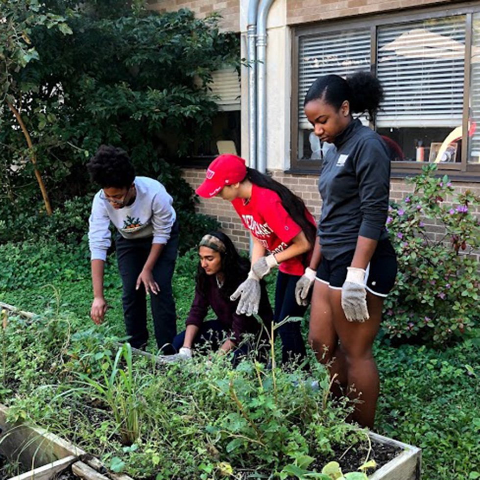 SHU students gardening