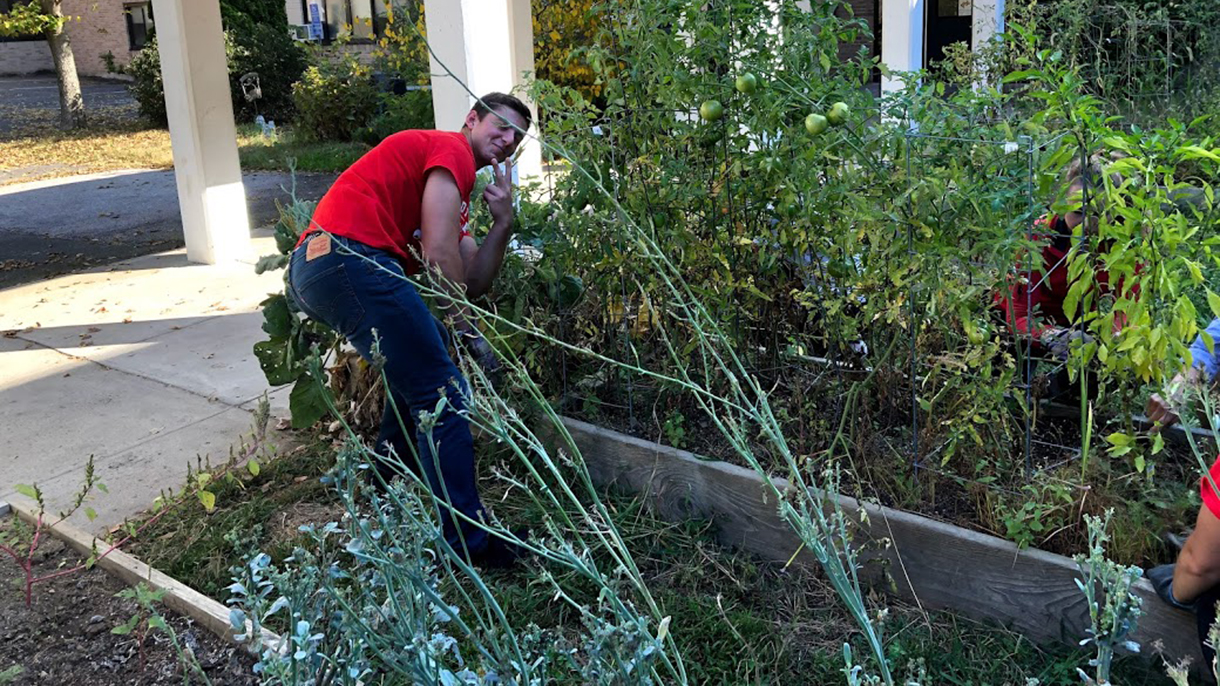 SHU students gardening