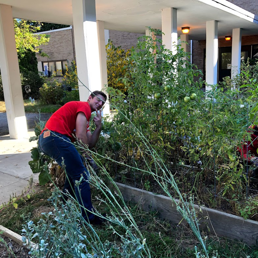 SHU students gardening