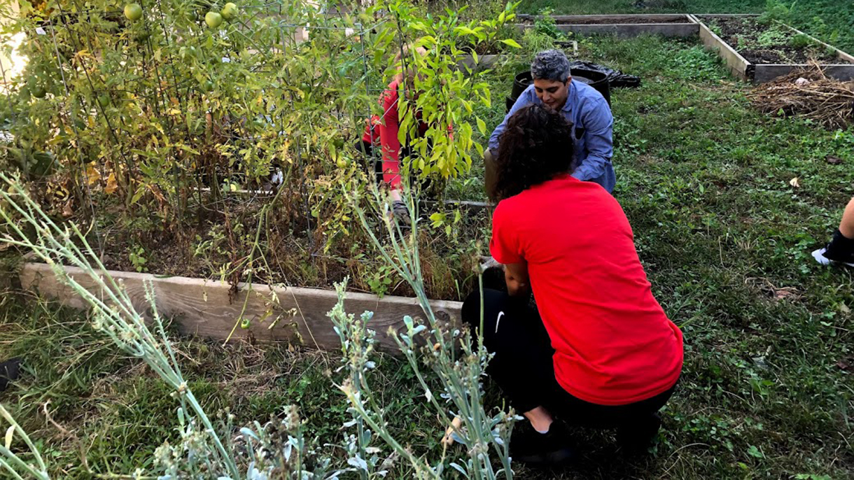 SHU students gardening