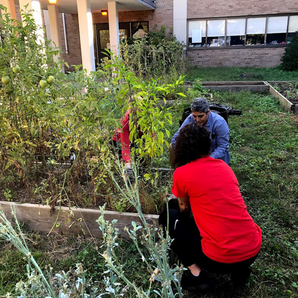 SHU students gardening