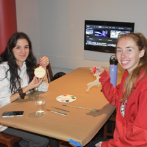 Students painting Christmas ornaments