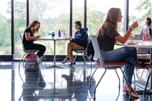 Students working and eating in dining hall