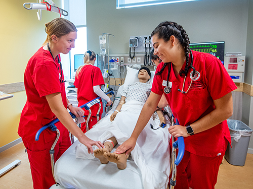 nursing students take the pulse of a medical mannequin in a lab setting