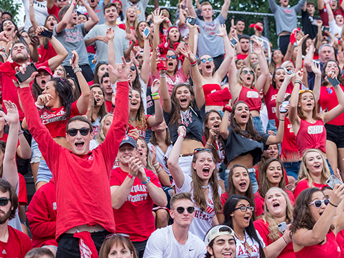 A crowd of cheering fans at a football game