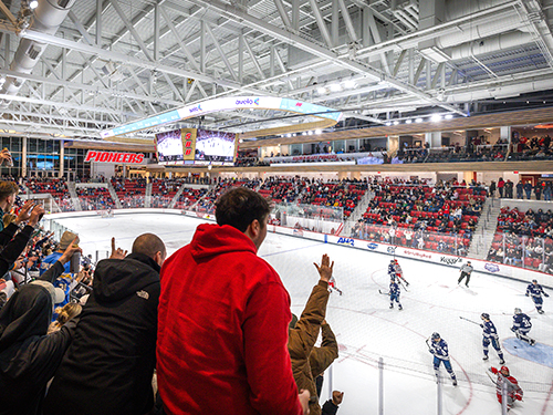 A crowd cheers at an ice hockey game