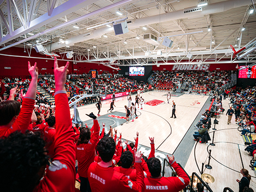 A crowd cheers at a basketball game