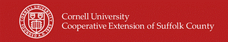 Cornell-University