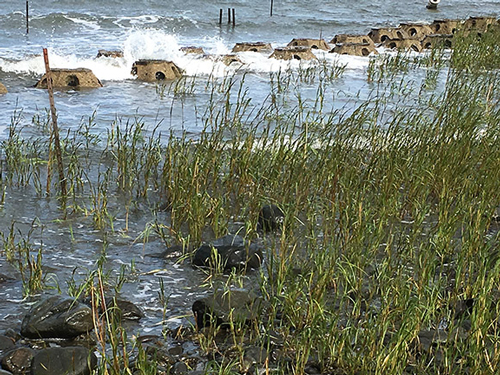 CT Shoreline