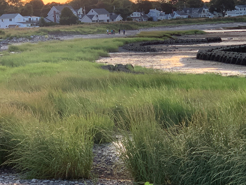 Shoreline