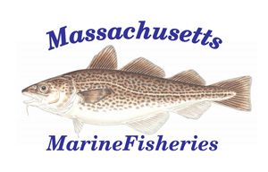 Mass.-Marine-Fisheries