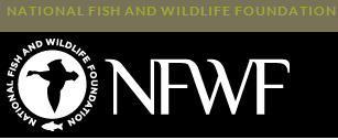 National-Fish-and-Wildlife.
