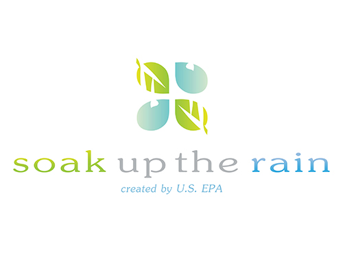 Soak up the Rain